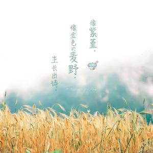 麻豆女肏屄影院
